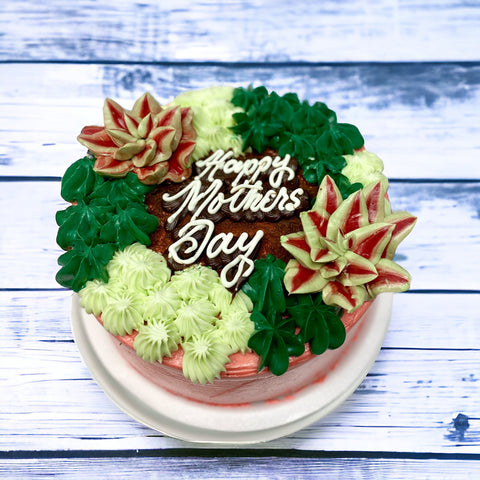 Chocolate Succulent Cake- 7"